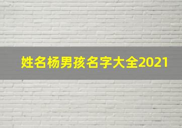 姓名杨男孩名字大全2021