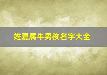 姓夏属牛男孩名字大全