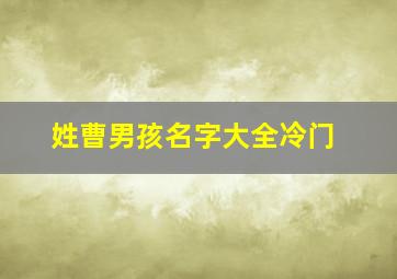 姓曹男孩名字大全冷门