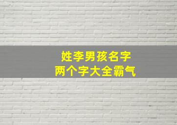 姓李男孩名字两个字大全霸气