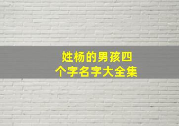 姓杨的男孩四个字名字大全集