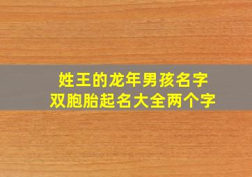 姓王的龙年男孩名字双胞胎起名大全两个字