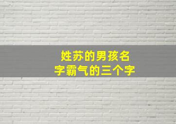 姓苏的男孩名字霸气的三个字