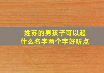 姓苏的男孩子可以起什么名字两个字好听点