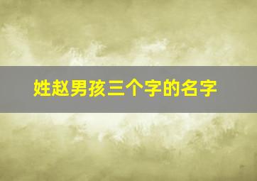 姓赵男孩三个字的名字