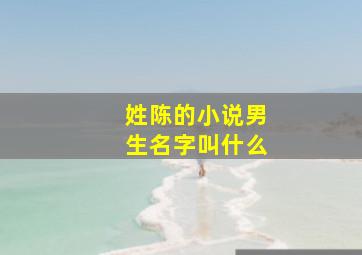 姓陈的小说男生名字叫什么