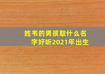 姓韦的男孩取什么名字好听2021年出生