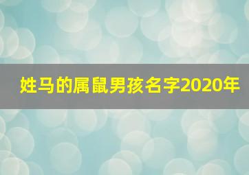 姓马的属鼠男孩名字2020年