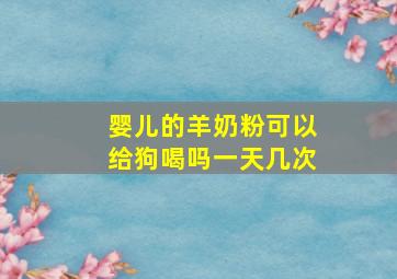 婴儿的羊奶粉可以给狗喝吗一天几次