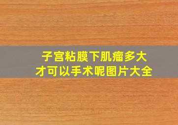 子宫粘膜下肌瘤多大才可以手术呢图片大全