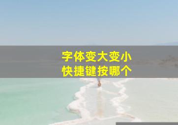 字体变大变小快捷键按哪个