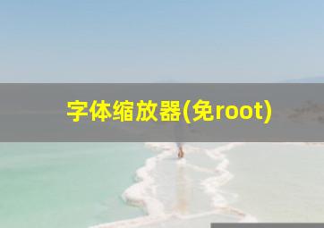 字体缩放器(免root)