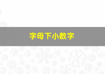 字母下小数字