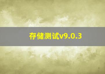 存储测试v9.0.3