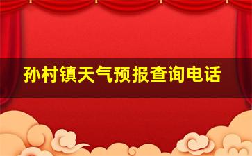 孙村镇天气预报查询电话