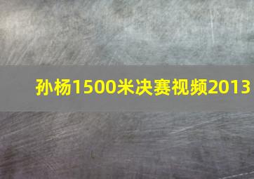 孙杨1500米决赛视频2013