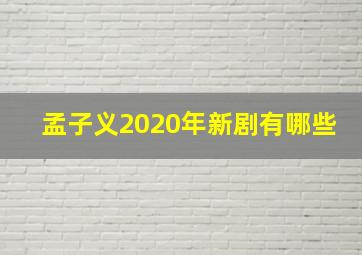 孟子义2020年新剧有哪些