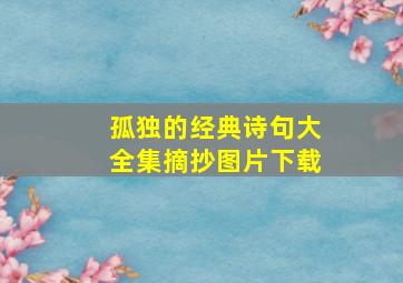 孤独的经典诗句大全集摘抄图片下载