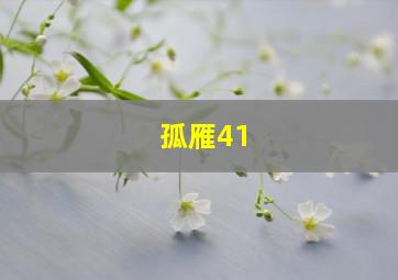 孤雁41