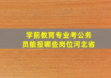 学前教育专业考公务员能报哪些岗位河北省