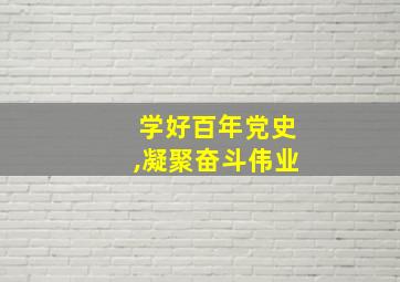 学好百年党史,凝聚奋斗伟业