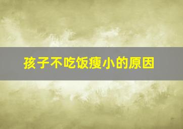 孩子不吃饭瘦小的原因