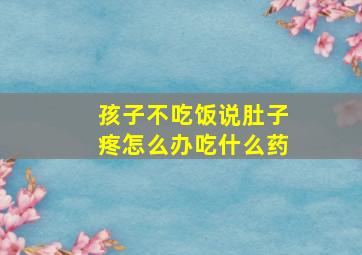 孩子不吃饭说肚子疼怎么办吃什么药