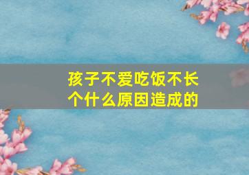 孩子不爱吃饭不长个什么原因造成的