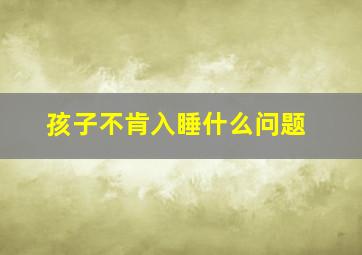 孩子不肯入睡什么问题