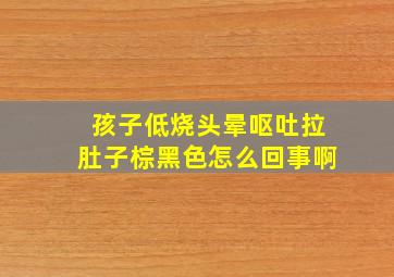 孩子低烧头晕呕吐拉肚子棕黑色怎么回事啊