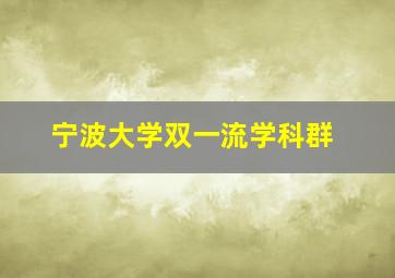 宁波大学双一流学科群