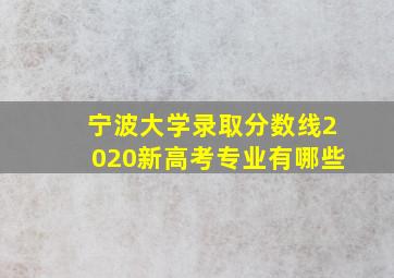 宁波大学录取分数线2020新高考专业有哪些