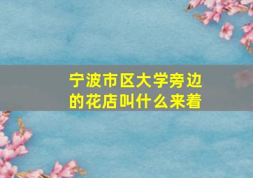 宁波市区大学旁边的花店叫什么来着