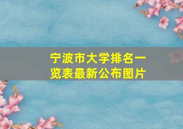 宁波市大学排名一览表最新公布图片