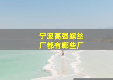 宁波高强螺丝厂都有哪些厂