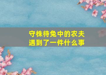 守株待兔中的农夫遇到了一件什么事