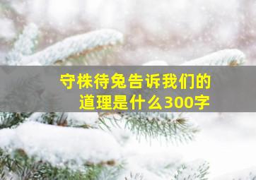 守株待兔告诉我们的道理是什么300字