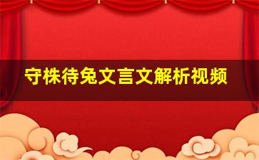 守株待兔文言文解析视频