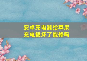 安卓充电器给苹果充电损坏了能修吗