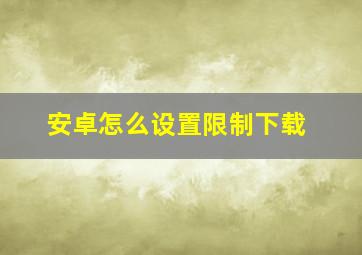 安卓怎么设置限制下载