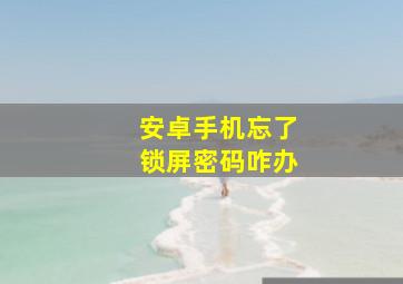 安卓手机忘了锁屏密码咋办