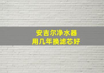 安吉尔净水器用几年换滤芯好