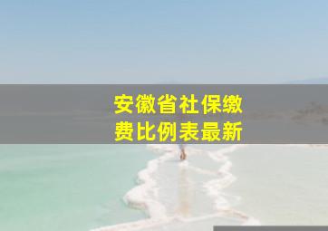 安徽省社保缴费比例表最新