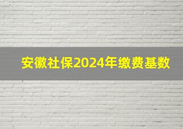 安徽社保2024年缴费基数