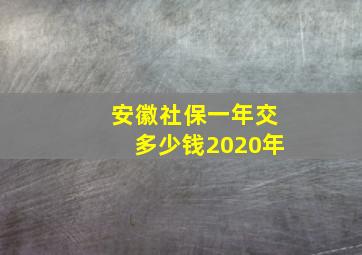 安徽社保一年交多少钱2020年