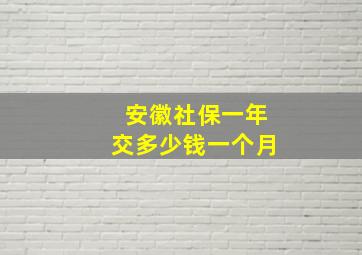 安徽社保一年交多少钱一个月