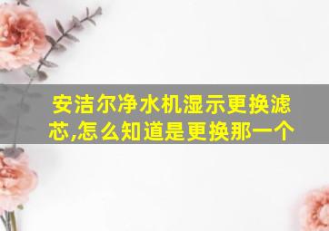 安洁尔净水机湿示更换滤芯,怎么知道是更换那一个