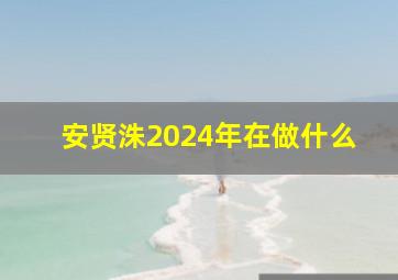 安贤洙2024年在做什么