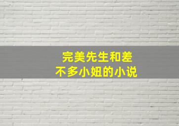 完美先生和差不多小妞的小说