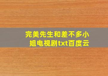 完美先生和差不多小姐电视剧txt百度云